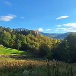 Forest Hillside *