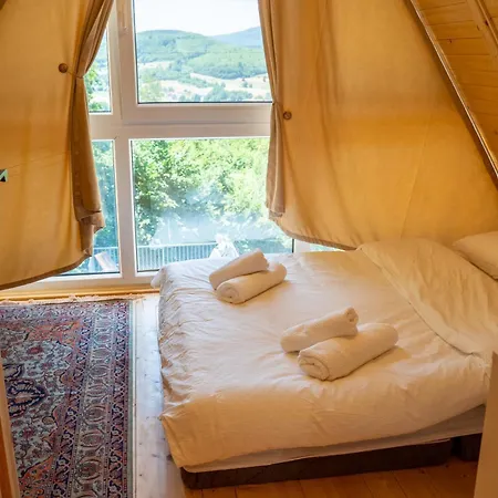 Forest Hillside * Tarcin