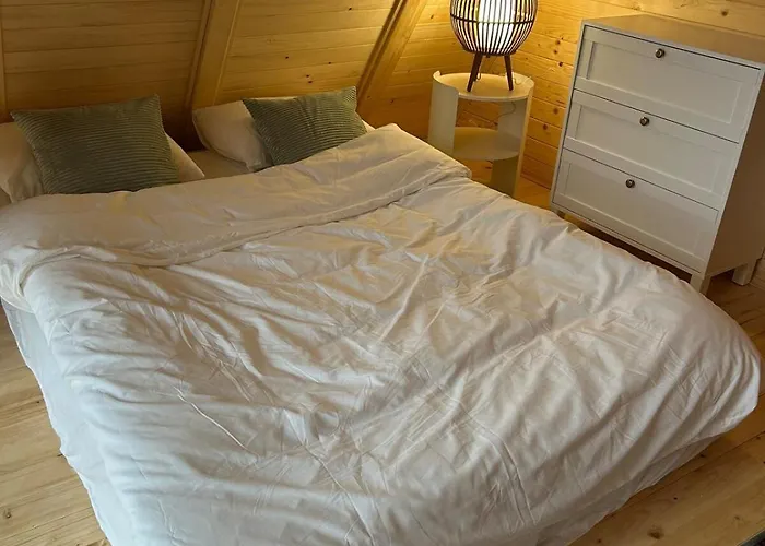 Forest Hillside Holiday home